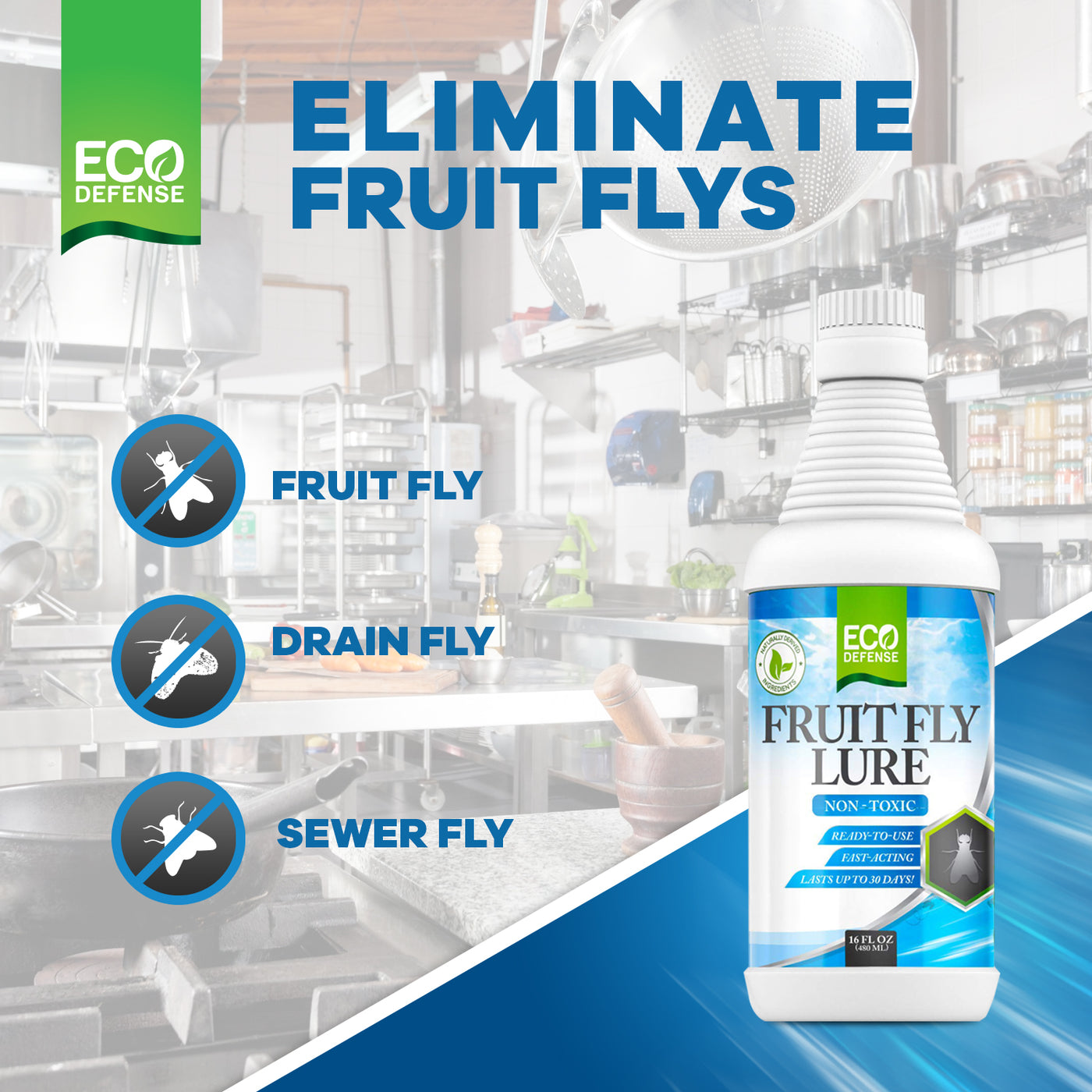 Fruit Fly Trap