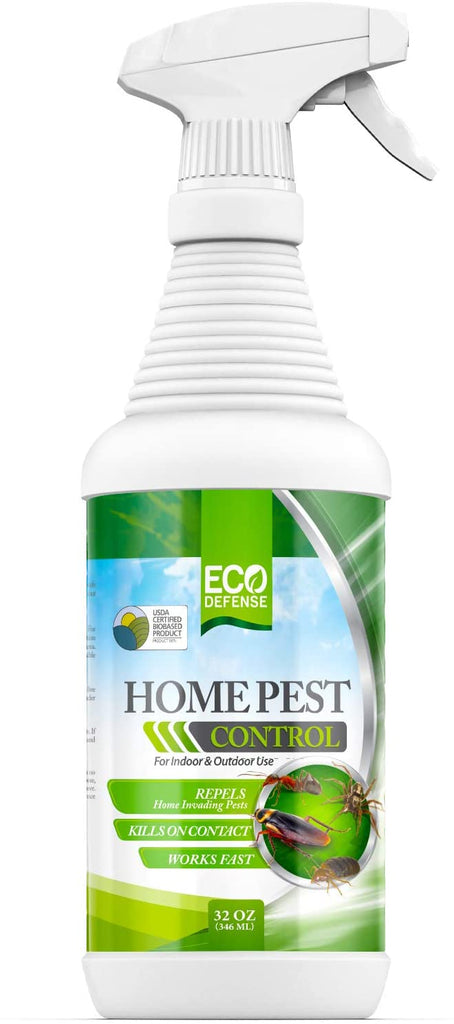 Household Products that Can Kill Pests · ExtermPRO